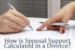 Spousal Support Survey