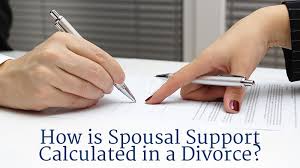 Spousal Support Survey