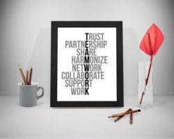 Teamwork and Trusting The Neutrals