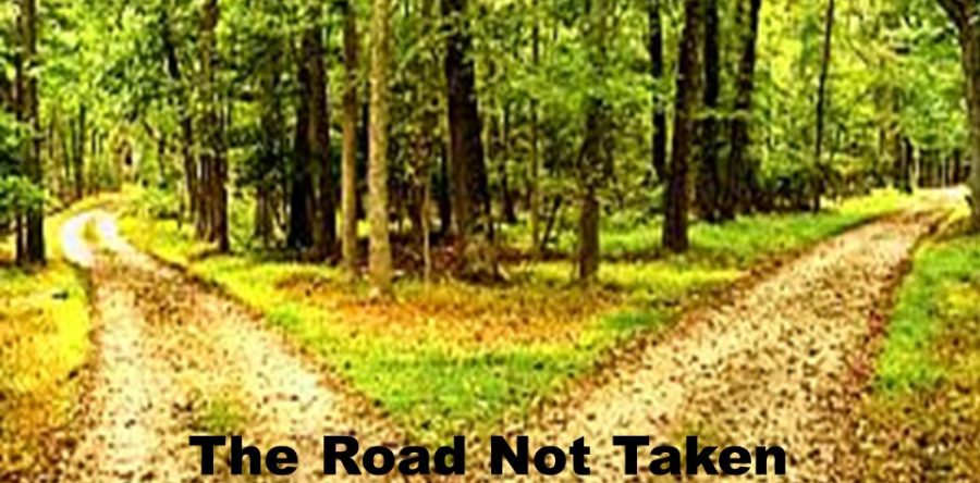 The Road Not Taken - mycollaborativeteam.com