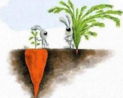 It’s Not Always As It Appears