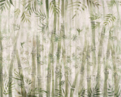 The Growth of a Bamboo Tree