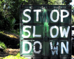 Slow Down. Stop. Accept