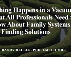 Nothing Happens in a Vacuum: What All Professionals Need to Know About Family Systems and Finding Solutions