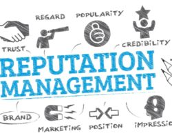 How is Your Collaborative Reputation?