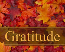 A Time to Give Thanks