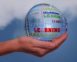 Upcoming CLE Opportunities