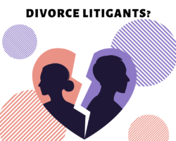 What About the Pro Se Divorce Litigants?