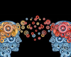 We Learn From Others