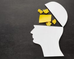 Is it a paradigm shift or a change in mindset?