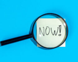 Where Are They Now? How Collaborative Professionals Are Thriving After Marketing Training