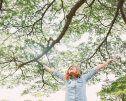 Branching Out in the Collaborative World