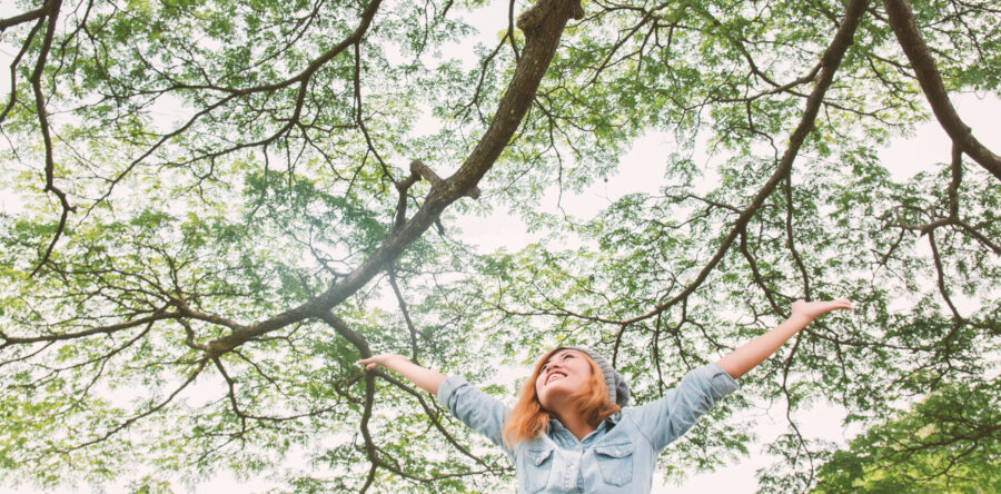 Branching Out in the Collaborative World