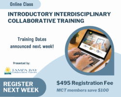 The Role of Collaborative Professionals in Growing the Collaborative Process