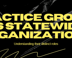 Practice Groups vs Statewide Organizations: What are the Differences in Their Roles?