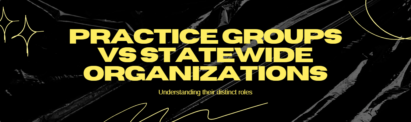 Practice Groups vs Statewide Organizations:  What are the Differences in Their Roles?