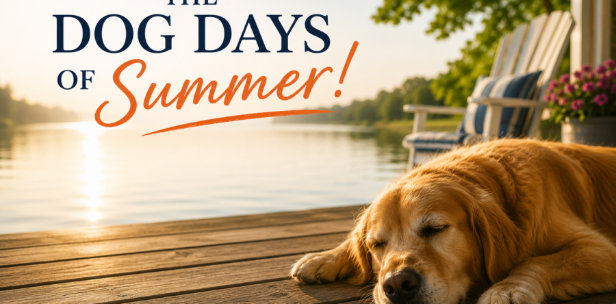 The Dog Days of Summer!